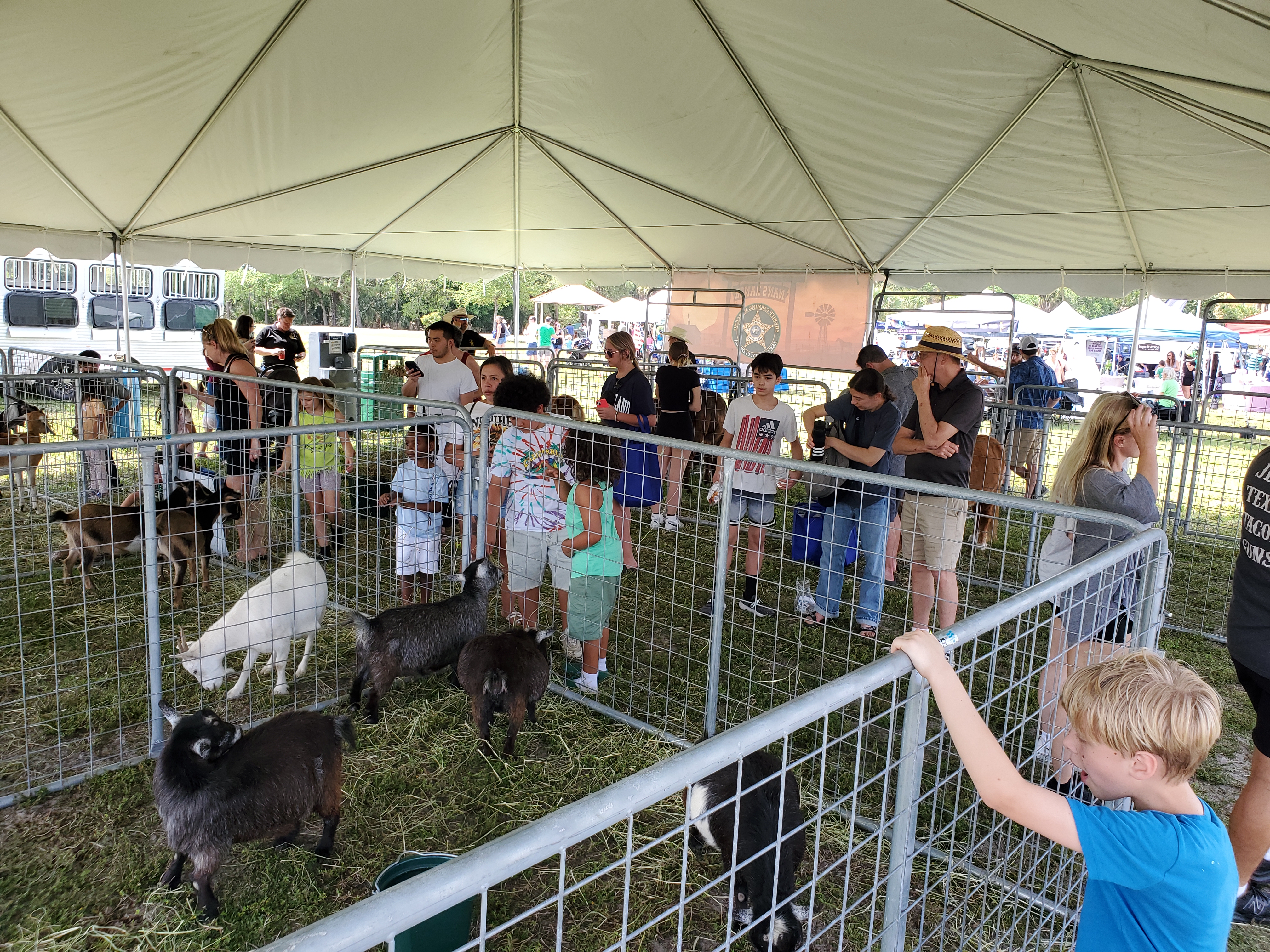 Feeding-the-animals-from-Nans-Ranch