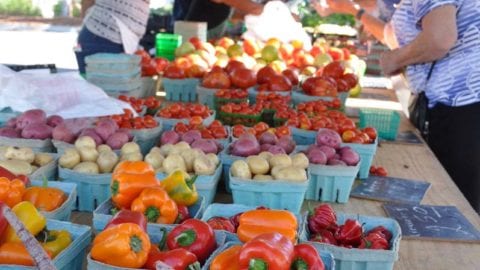 Farmers market at coconut point