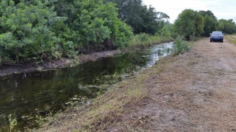 Ditch clearing after Hurricane Irma