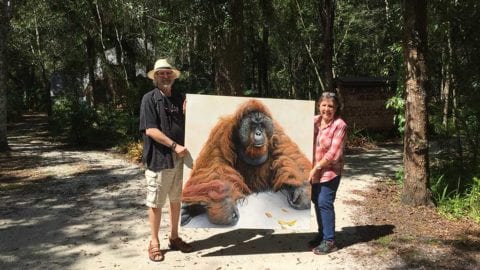 Estero artist shows his ape paintings
