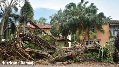 Hurricane Damage