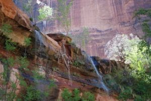 Waterfalls-at-Zion-National-Park