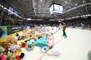 Teddy Bear Toss