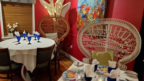 The Real Macaw interior