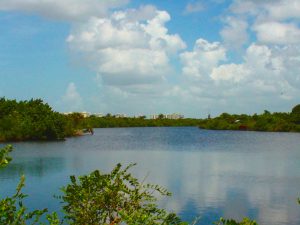 Estero Bay (photo by Adele Amico)