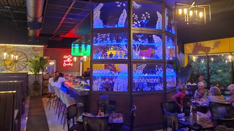Fernandez interior