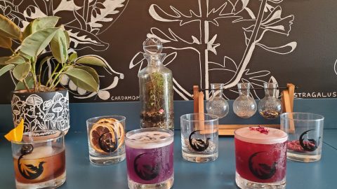 Non-alcoholic cocktails created by Gather Beverage Company