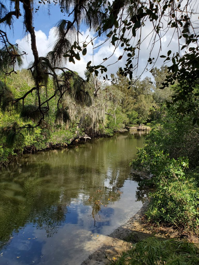 Council approved a contract addendum for construction of Phase 1 of Estero on the River project
