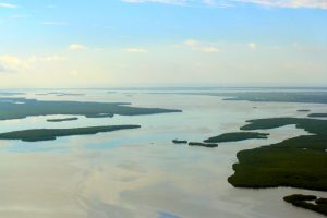 Estero Bay by Owen Ames Kimball