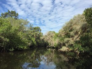 Estero River