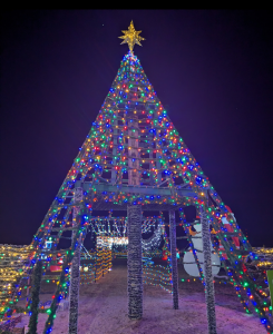Christmas tree at Farmer Mikes