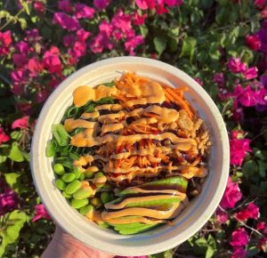 POKE FUSION FGCU-sion