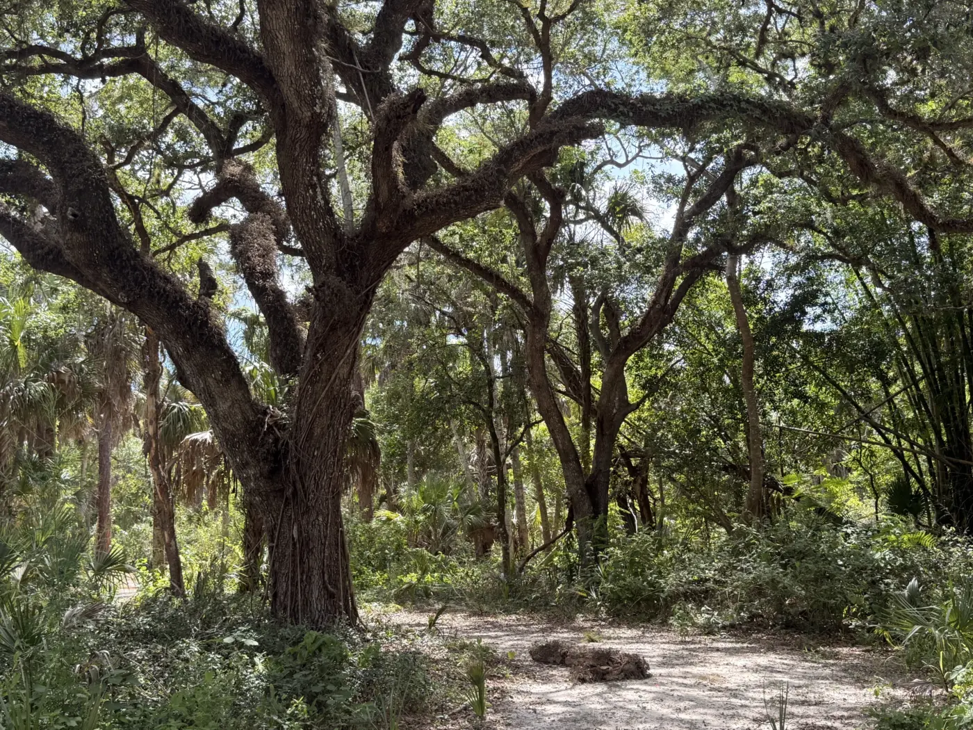 Visitors can walk the natural paths at RiverPark